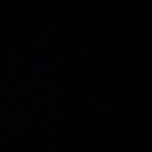 Meet your Posher, Brady